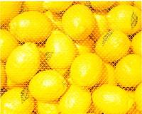 Lemons, Farmers' Market 1993 by Alison Shaw