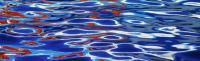 Reflection - Red, White & Blue Water 1993 by Alison Shaw