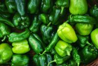 Green Peppers, Farmers' Market 1993 by Alison Shaw
