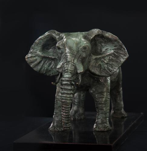Elephant by Steve Simmons
