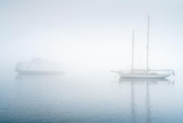 Ferry "Martha's Vineyard" & "Juno", Vineyard Haven Harbor 2018 by Alison Shaw