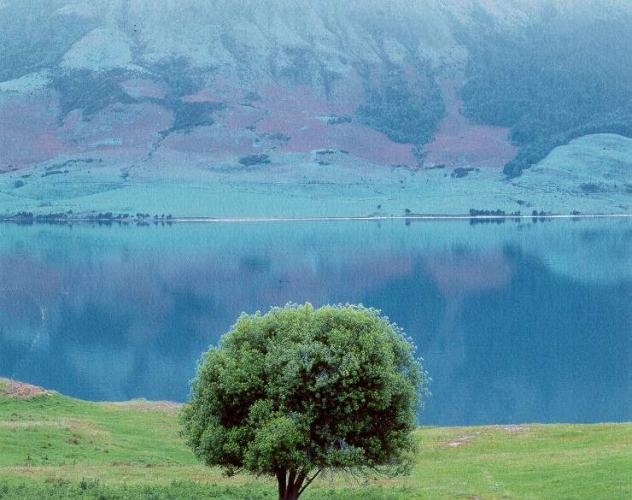 Lake Hawea, South Island, New Zealand 1995 by Alison Shaw
