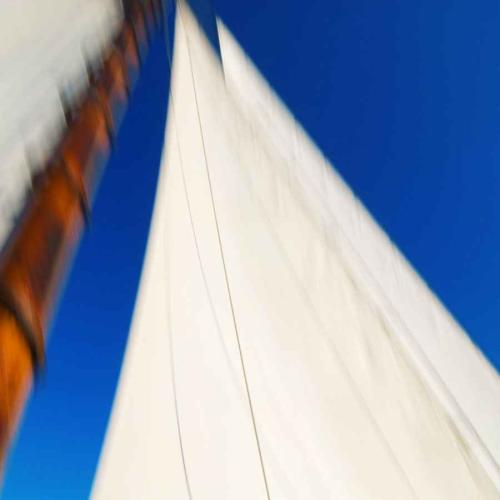 Sails, "Surprise", Camden Harbor II 2008 by Alison Shaw
