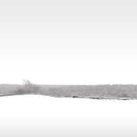 Fresh Snow II, Chilmark, MA 2014 by David Fokos