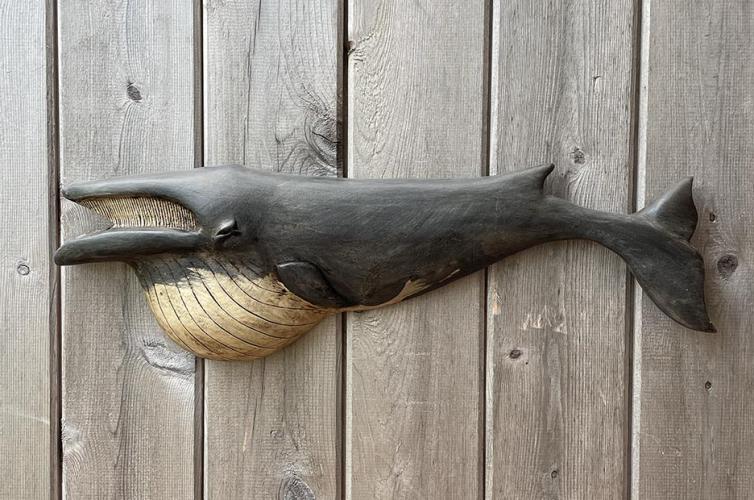 Finback Whale by Wendy Lichtensteiger
