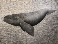 Right Whale by Cindy Kane