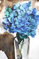 Blue Beauty by Heidi Lang
