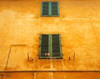 Yellow Ochre Wall, Tuscany 1999 by Alison Shaw