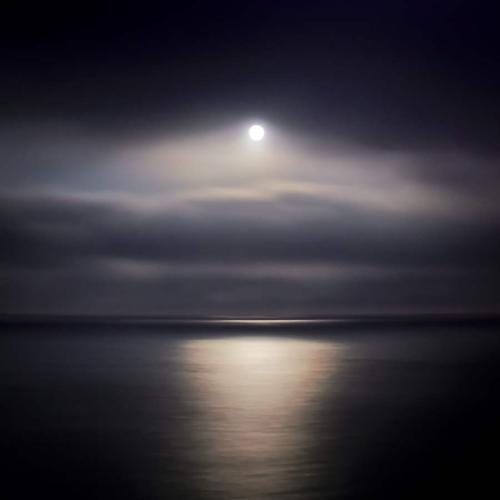 Moonlight Cruise by Bob Avakian