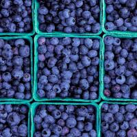 Blueberries, Farmers' Market II 1998 by Alison Shaw