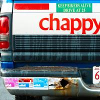 Chappy Ferry VI 2011 by Alison Shaw