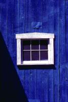 Blue Barn 1995 by Alison Shaw