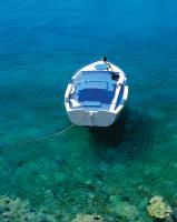 Blue and White Boat, Aliki, Paros, Greek Islands 2005 by Alison Shaw