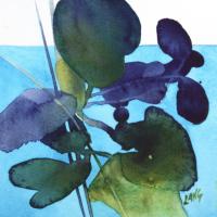 Water Lilies by Heidi Lang
