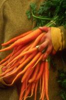 Carrots, Farmers Market 2003 by Alison Shaw