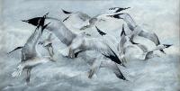 Gulls by Kate Madsen