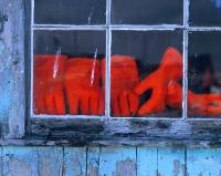 Orange Gloves, Hunt's Point, Nova Scotia 2004 by Alison Shaw