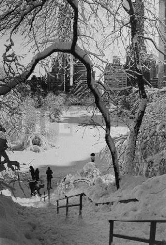 Stairs, Central Park by Alfred Eisenstaedt
