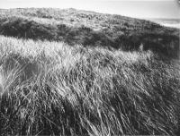 Dunes at Squibnocket Point by Alfred Eisenstaedt