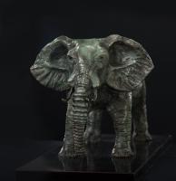 Elephant by Steve Simmons