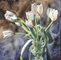 White Tulip by Heidi Lang