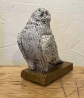 Snowy Owl by Don Wilks