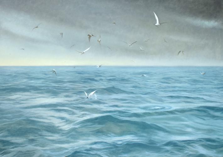 Seascape with Terns by Tamalin Baumgarten