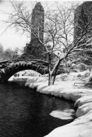 Central Park After a Snow Storm by Alfred Eisenstaedt