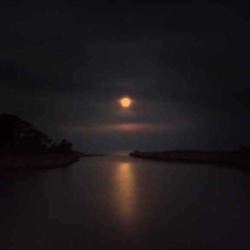 Harthaven Moonrise by Bob Avakian